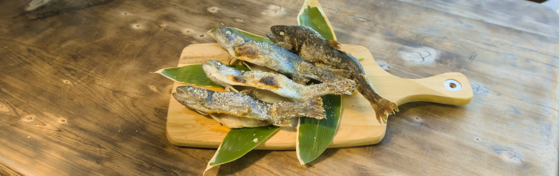 釣り堀:清流で釣った魚を塩焼きで召し上がっていただけます。お魚は上から「ヤマメ」「ニジマス」「ホウライマス」「イワナ」